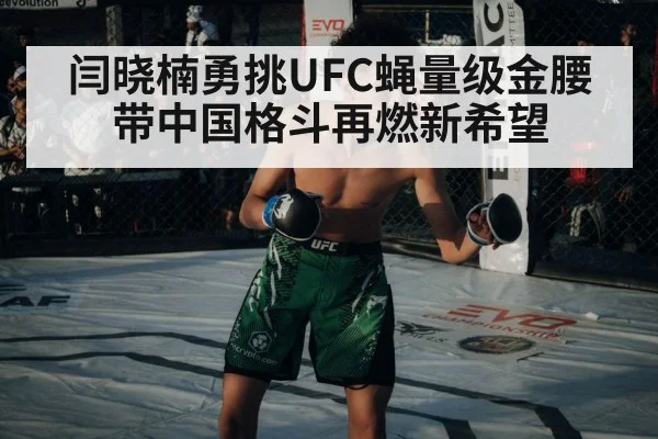 UFC championship belt
